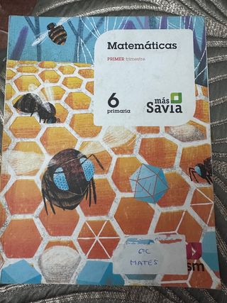 libro de 6 primaria