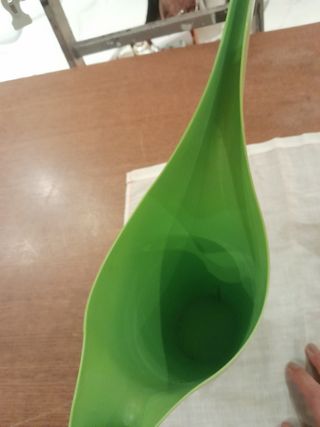 Bellissimi annaffiatoi verdi e arancioni