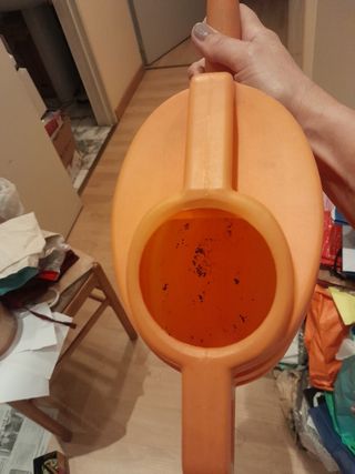 Bellissimi annaffiatoi verdi e arancioni