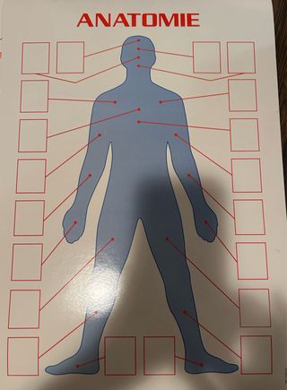 Juego de Anatomía JOUSTRA para +8 años