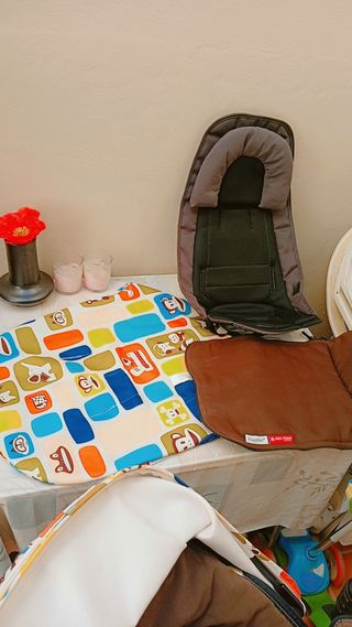 Carro Bugaboo Cameleon