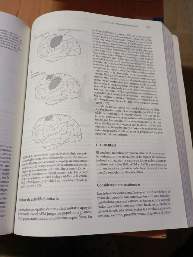 Libro "Principios de Neuropsicología Humana".