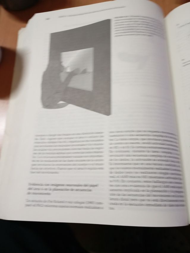 Libro "Principios de Neuropsicología Humana".