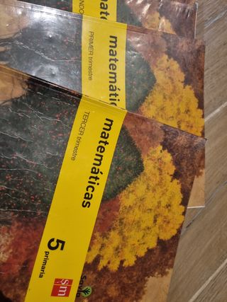 Matemáticas  5 primaria