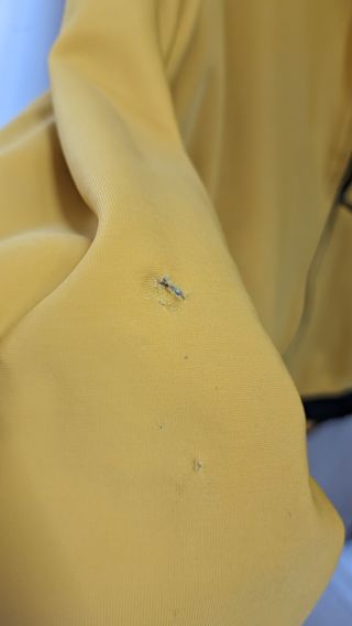 Chaqueta Kvsport entretiempo amarillo mostaza