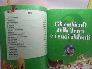 Tante domande tante risposte