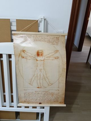 Lámina El Hombre de Vitruvio Da Vinci