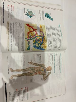 3 eso Biología Y Geología OXFORD Geniox