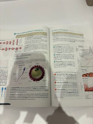 3 eso Biología Y Geología OXFORD Geniox