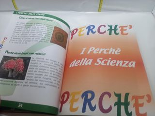 Grande libro dei perché