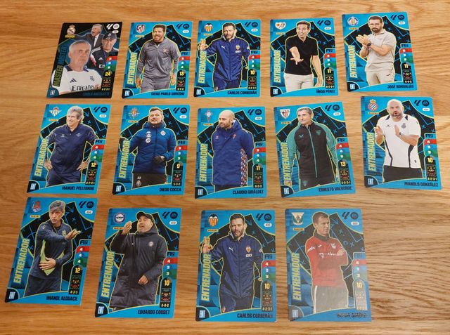 Lote Cartas Panini Adrenalyn XL 2024-2025
