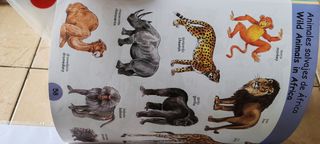 Mis primeras 1000 palabras en inglés