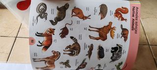 Mis primeras 1000 palabras en inglés