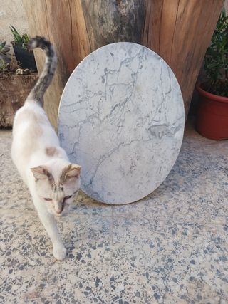 Base ellittica in marmo grigio e bianco