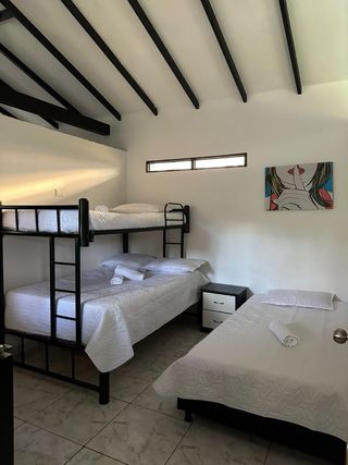 se hace limpieza profesional y desinfección