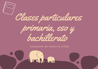 Profesora particular