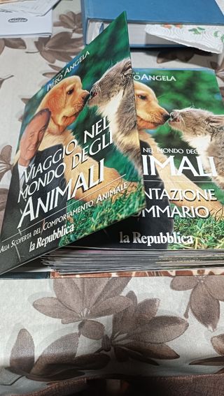 Viaggio nel mondo degli animali