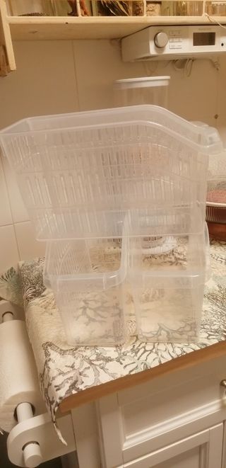 Cajas de ordenación de plástico transparentes