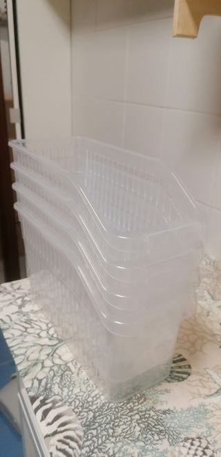 Cajas de ordenación de plástico transparentes