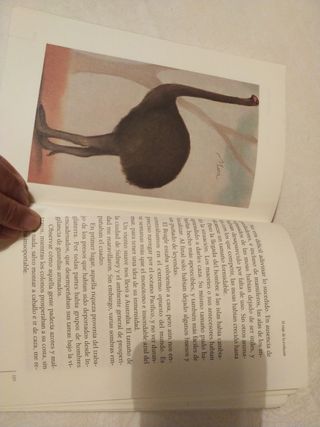 El viaje de la evolución: El joven Darwin (Span...