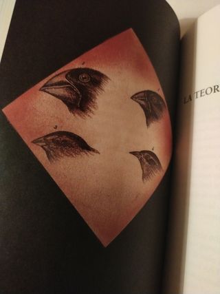 El viaje de la evolución: El joven Darwin (Span...