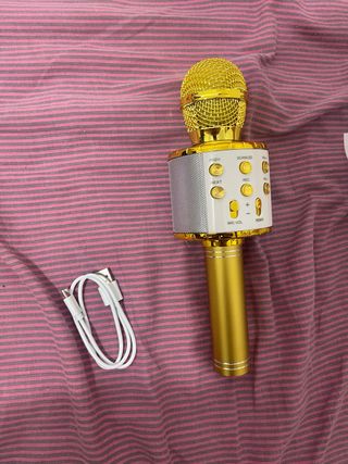 Micrófono Karaoke Dorado con Cable USB