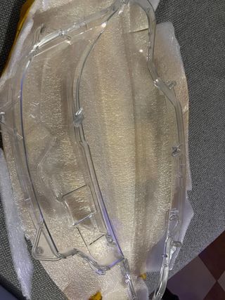 Tulipa Faro Transparente