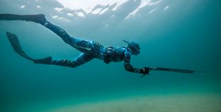 Se necesita equipo de pesca submarina.