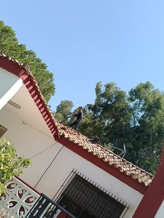 Reformas en general 