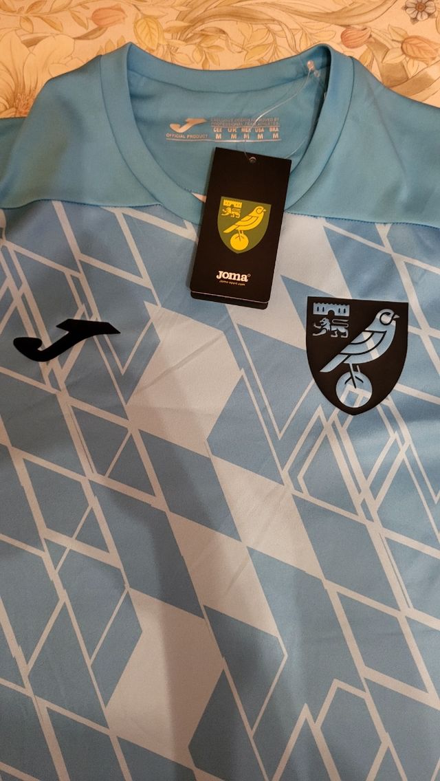 Camiseta del Norwich City