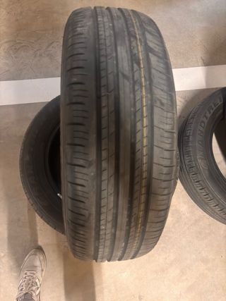 Ruedas Dunlop 225/60 R18 100H