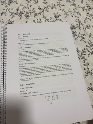 Problemas de selectividad de matemáticas aplicadas