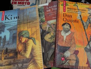 Libros recomendados para leer en el colegio.