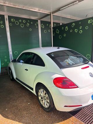 Volkswagen beetle blanco