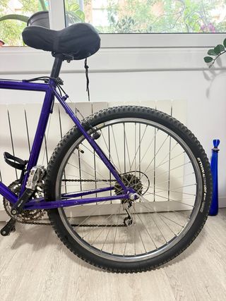 Bicicleta de montaña morada