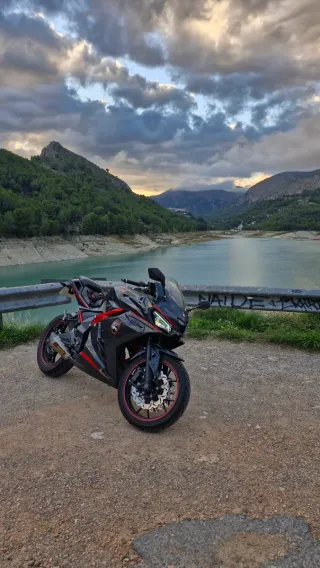 Mitt Gp1 2023 carbon