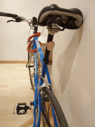 Bicicleta OKLAN talla 50 cm urbana y estilo fixie