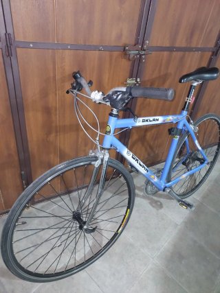 Bicicleta OKLAN talla 50 cm urbana y estilo fixie