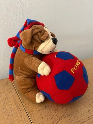 Peluche Cane Calcio Catania Forever
