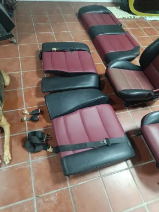 Sillónes  delantero,  trasero, paños de puertas