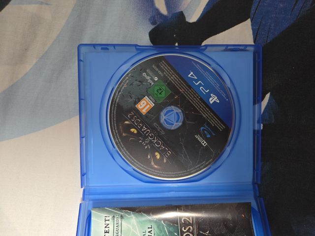 Blackguards 2 PS4 Edición Limitada Día Uno