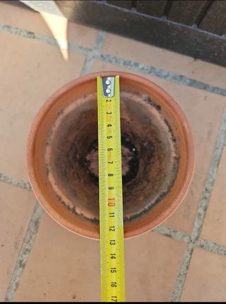 Maceta de terracota