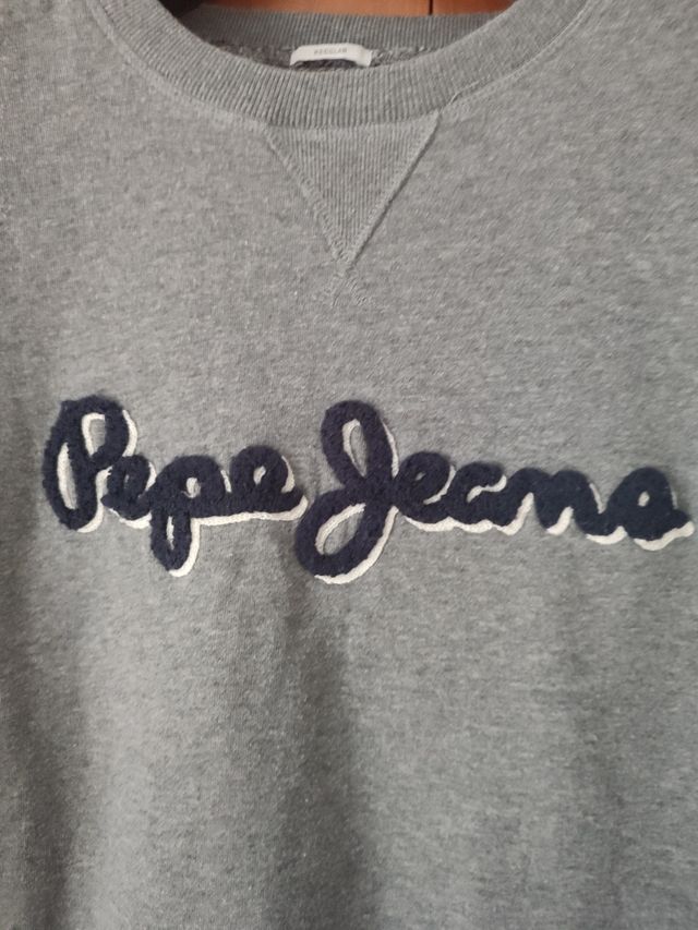 Sudadera Pepe Jeans Gris