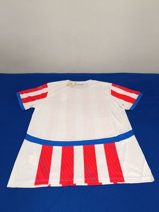 Camiseta  Paraguay