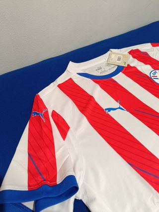 Camiseta  Paraguay