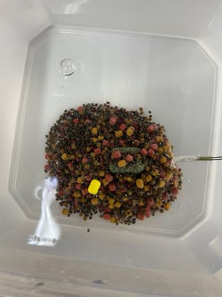 10 Bolsas PVA listas para pesca