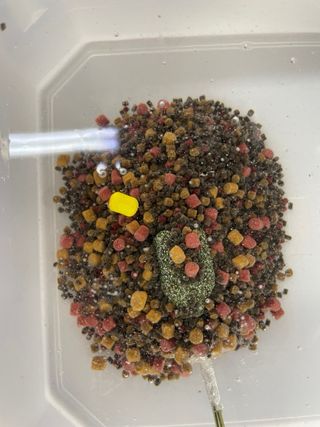10 Bolsas PVA listas para pesca