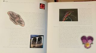 RURAL. NATURALEZA EN EL RECUERDO