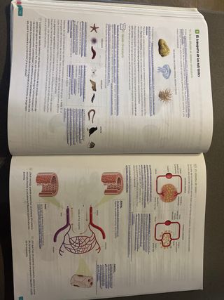Biología, Geología y Ciencias Ambientales. 1 Ba...