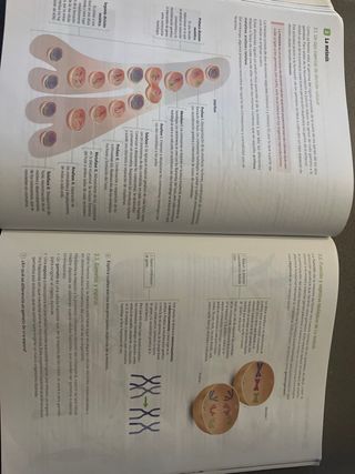 Biología, Geología y Ciencias Ambientales. 1 Ba...